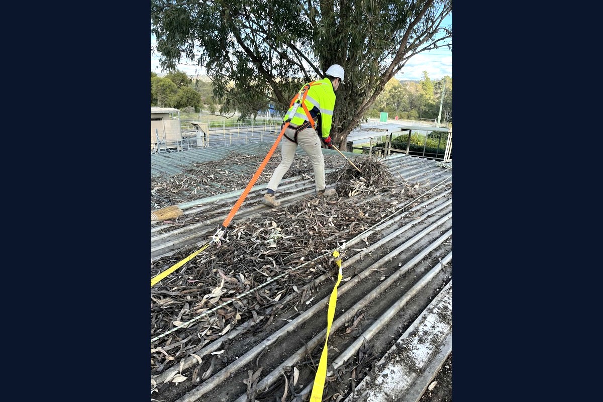 Roof maintenance